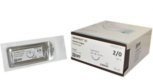 Chỉ catgut Chromic