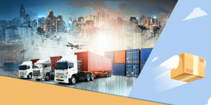 cơ hội việc làm ngành xuất nhập khẩu