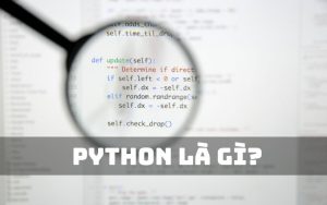 python là gì