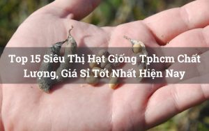 siêu thị hạt giống tphcm