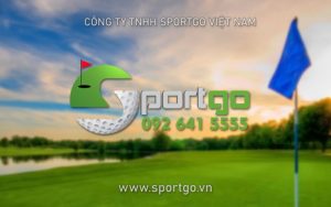 công ty tnhh SportGo Việt Nam