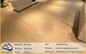 Công ty Ngân Hoàng An