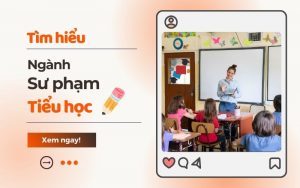 Ngành sư phạm tiểu học