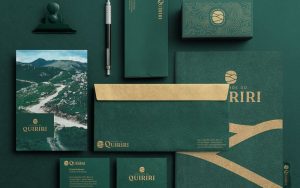 Thiết kế nhận diện thương hiệu