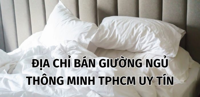 Top 7 Địa Chỉ Bán Giường Ngủ Thông Minh TPHCM Uy Tín, Chất Lượng