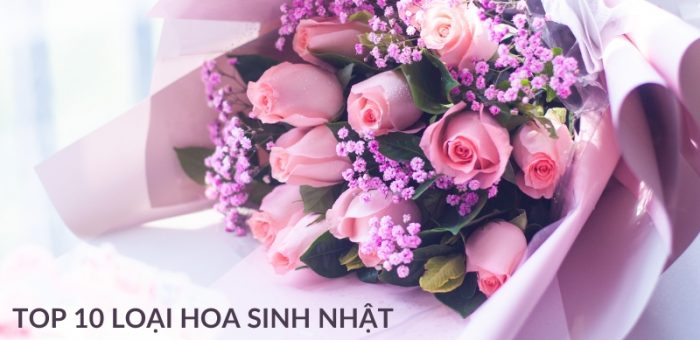 Top 10 Loại Hoa Sinh Nhật Cho Nữ Đẹp Và Ý Nghĩa Nhất