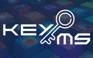 Phần mềm bản quyền EKEYMS