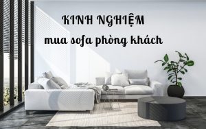 kinh nghiệm mua sofa cho phòng khách