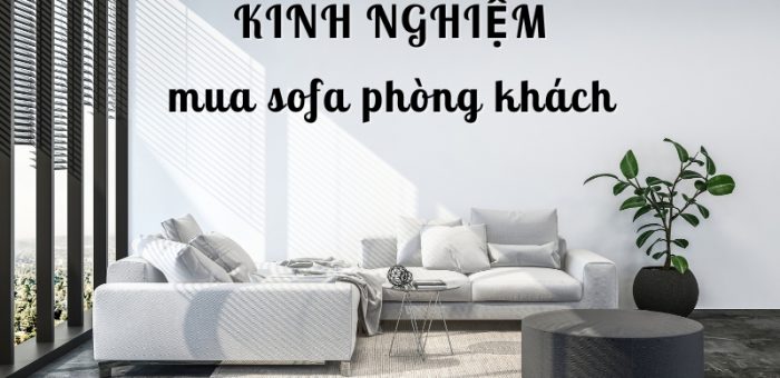 Kinh Nghiệm Mua Sofa Cho Phòng Khách Thẩm Mỹ Và Chất Lượng