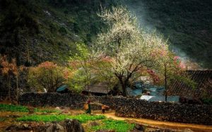 du lịch hà giang mùa hè