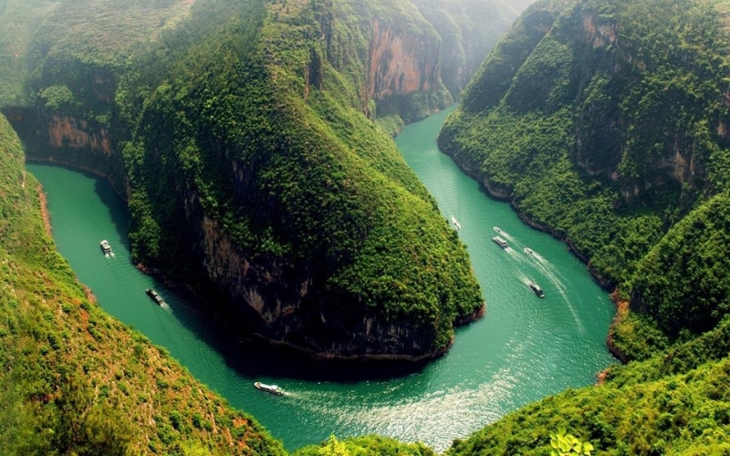 Song nho Quế