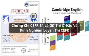 chứng chỉ cefr b1 là gì