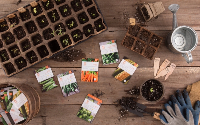 Kinh doanh bộ dụng cụ trồng cây tại nhà