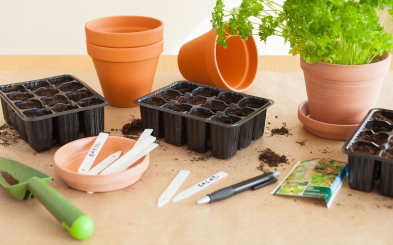 Đại lý hạt giống và dụng cụ làm vườn