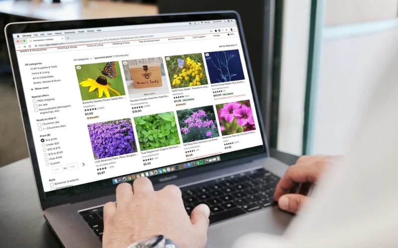 Kinh doanh hạt giống trên các sàn TMĐT