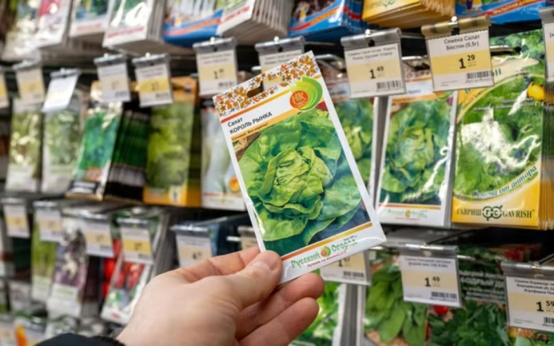 Kinh nghiệm kinh doanh hạt giống thành công