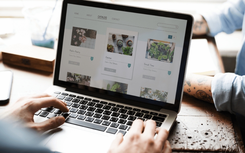 Mô hình droshipping hạt giống