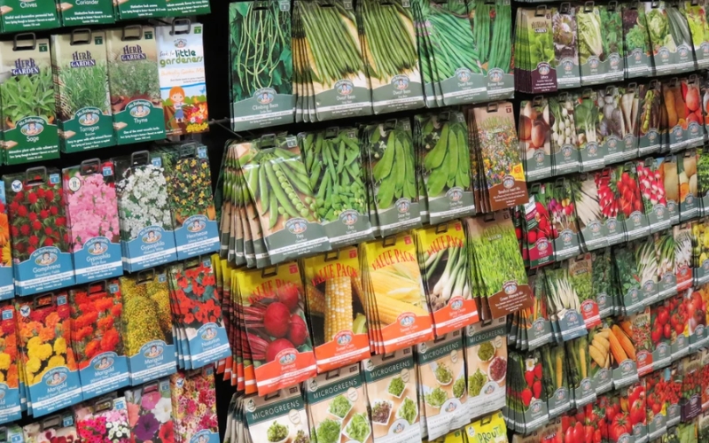 Nhà cung cấp sỉ hạt giống