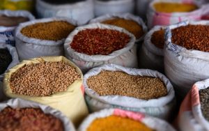Tiềm năng của mô hình kinh doanh hạt giống