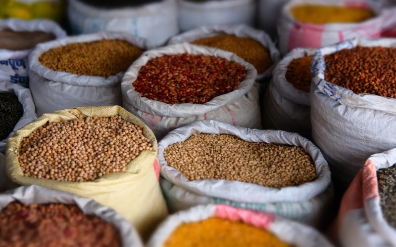 Tiềm năng của mô hình kinh doanh hạt giống