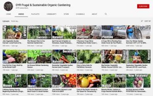 Xây kênh YouTube trồng trọt và bán hạt giống