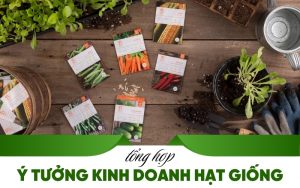 ý tưởng kinh doanh hạt giống