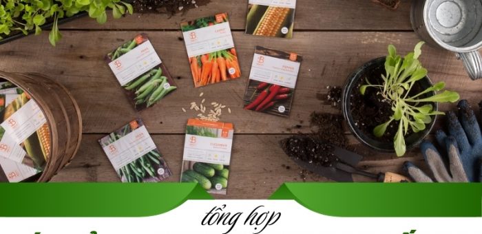 10+ Ý Tưởng Kinh Doanh Hạt Giống Vốn Ít, Lợi Nhuận Cao Cho Người Mới